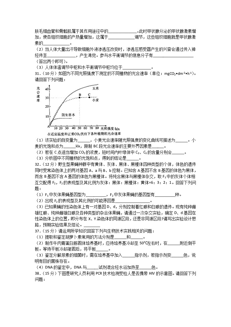 四川省棠湖中学2020届高三下学期第一次在线月考生物试题02