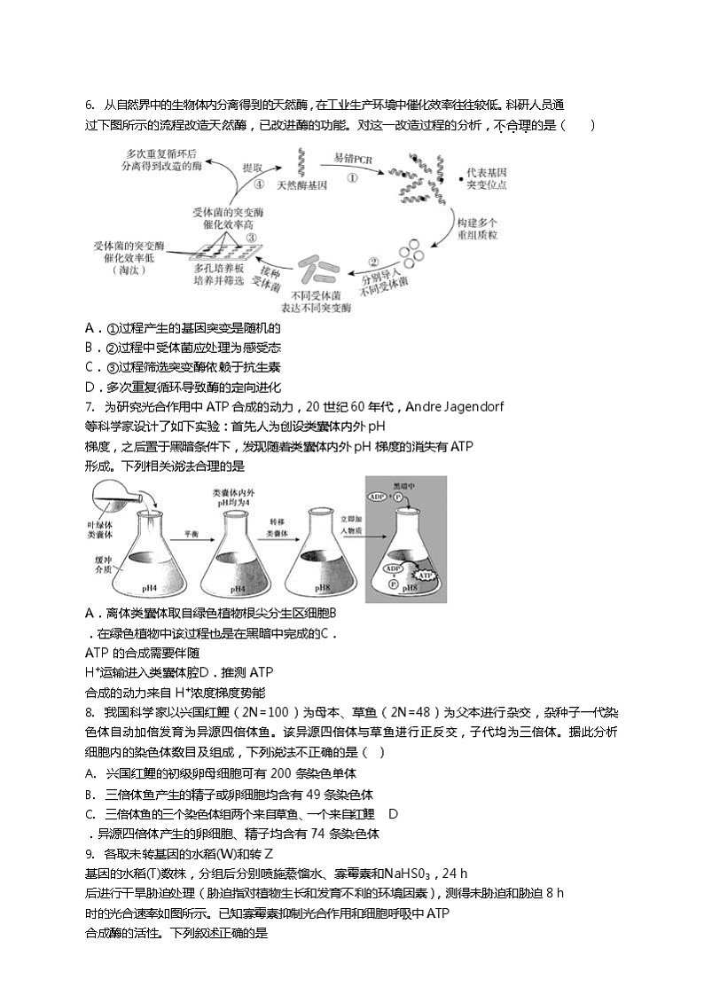 天津市第一中学2020届高三下学期第四次月考生物试题03