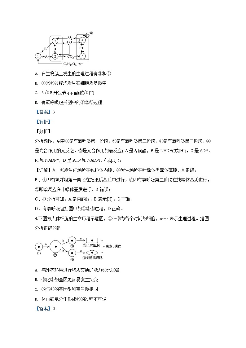 天津市静海区大邱庄中学2020届高三下学期第一次月考生物试题03