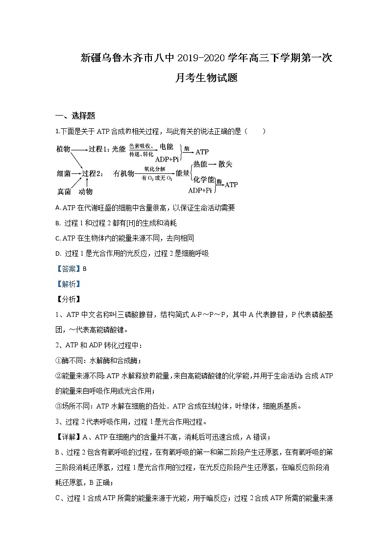 新疆乌鲁木齐市八中2020届高三下学期第一次月考生物试题01