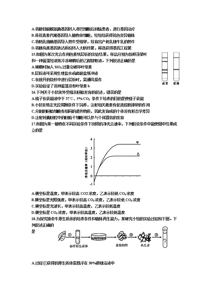 江苏省淮安市涟水县第一中学2020届高三10月月考生物试题03