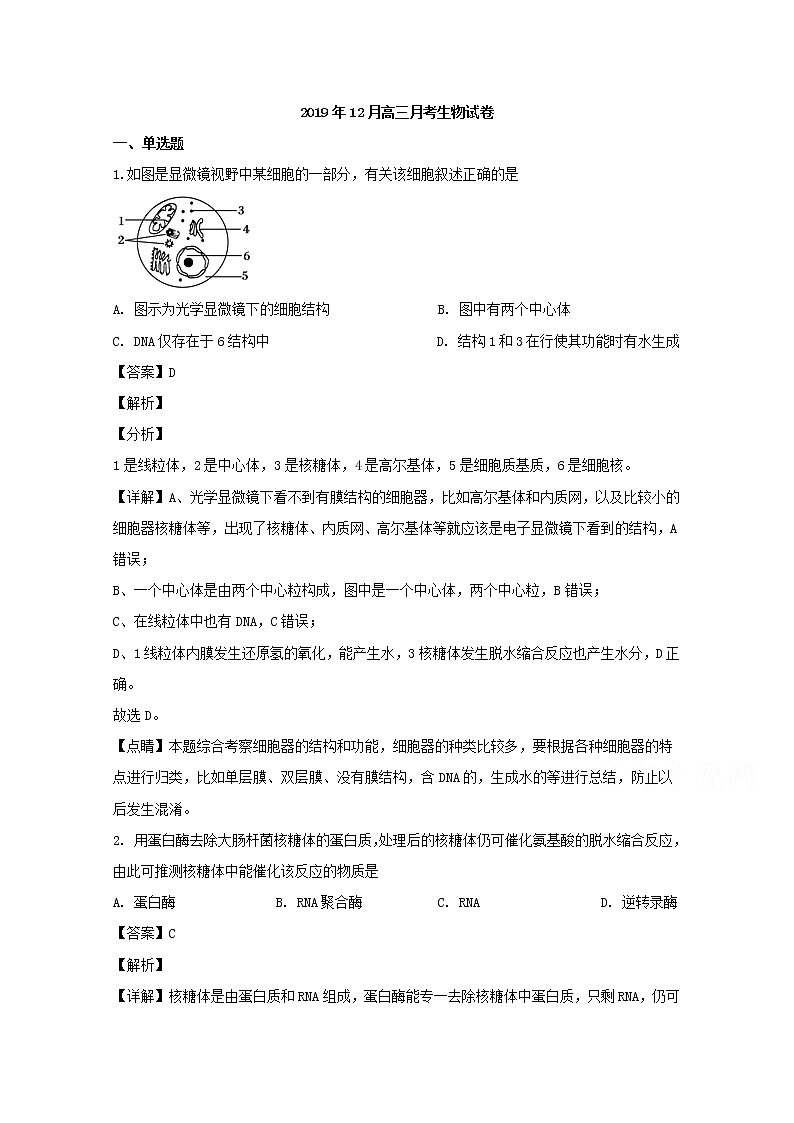 江苏省南京市溧水区二校2020届高三（12月）月考生物试题01
