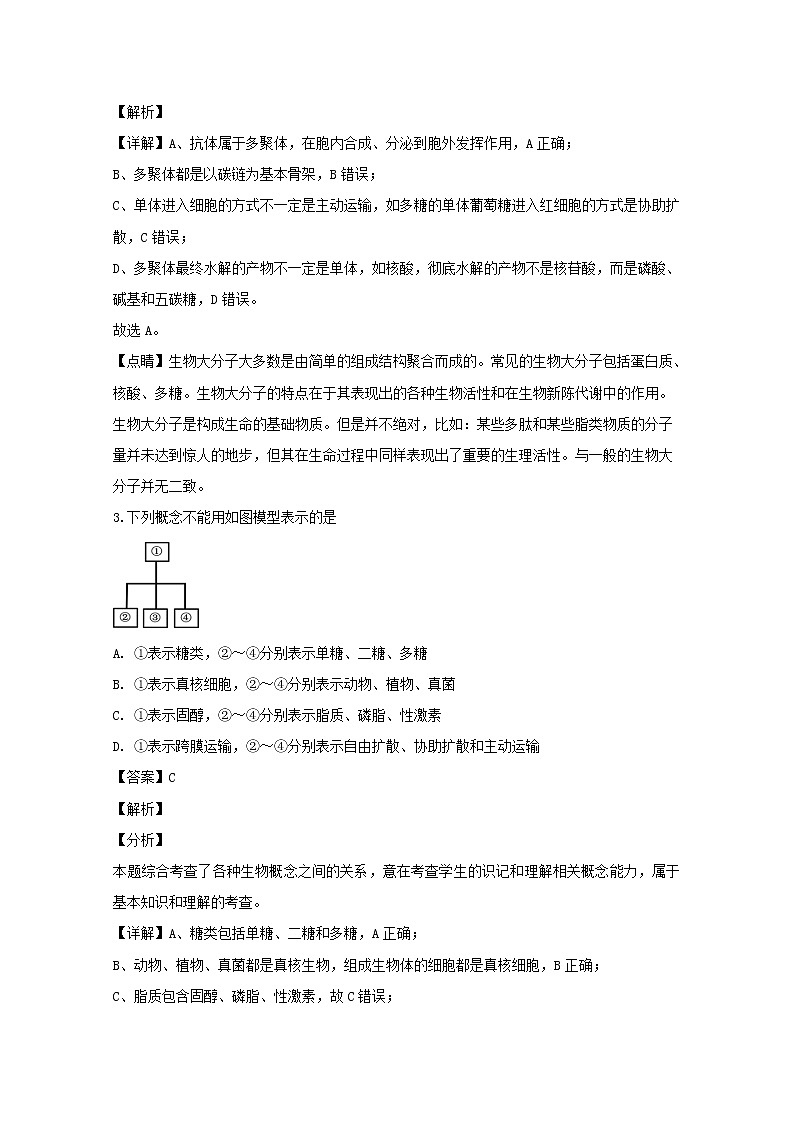 江苏省扬州中学2020届高三（11月）月考生物试题第2页