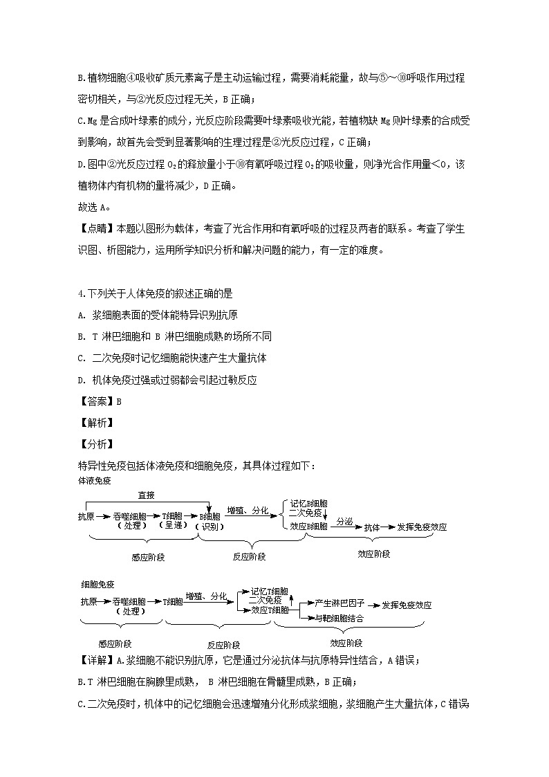 江西省抚州市临川二中2020届高三上学期第一次月考理综生物试题第3页