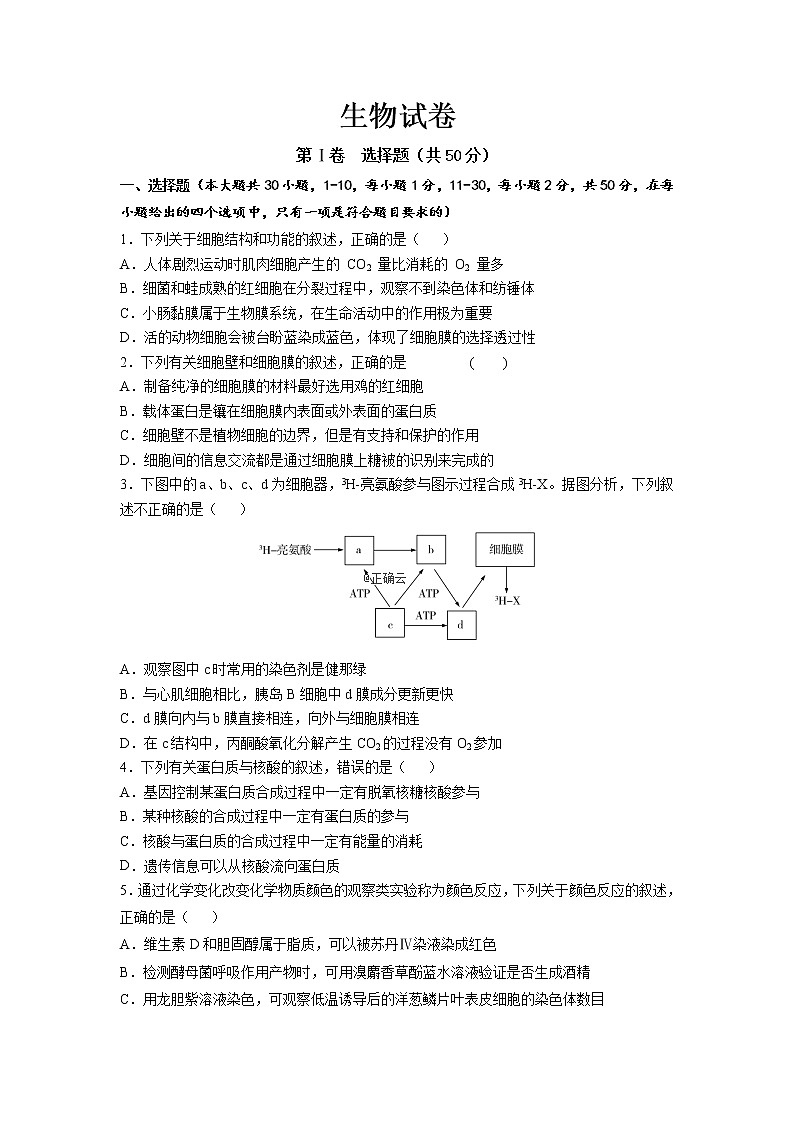 江西省赣州市宁师中学2020届高三12月月考生物试卷01