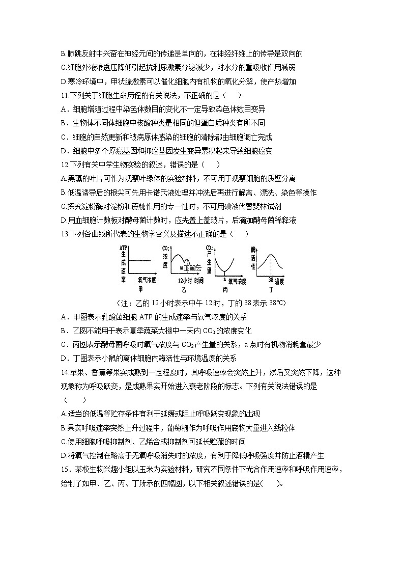 江西省赣州市宁师中学2020届高三12月月考生物试卷03