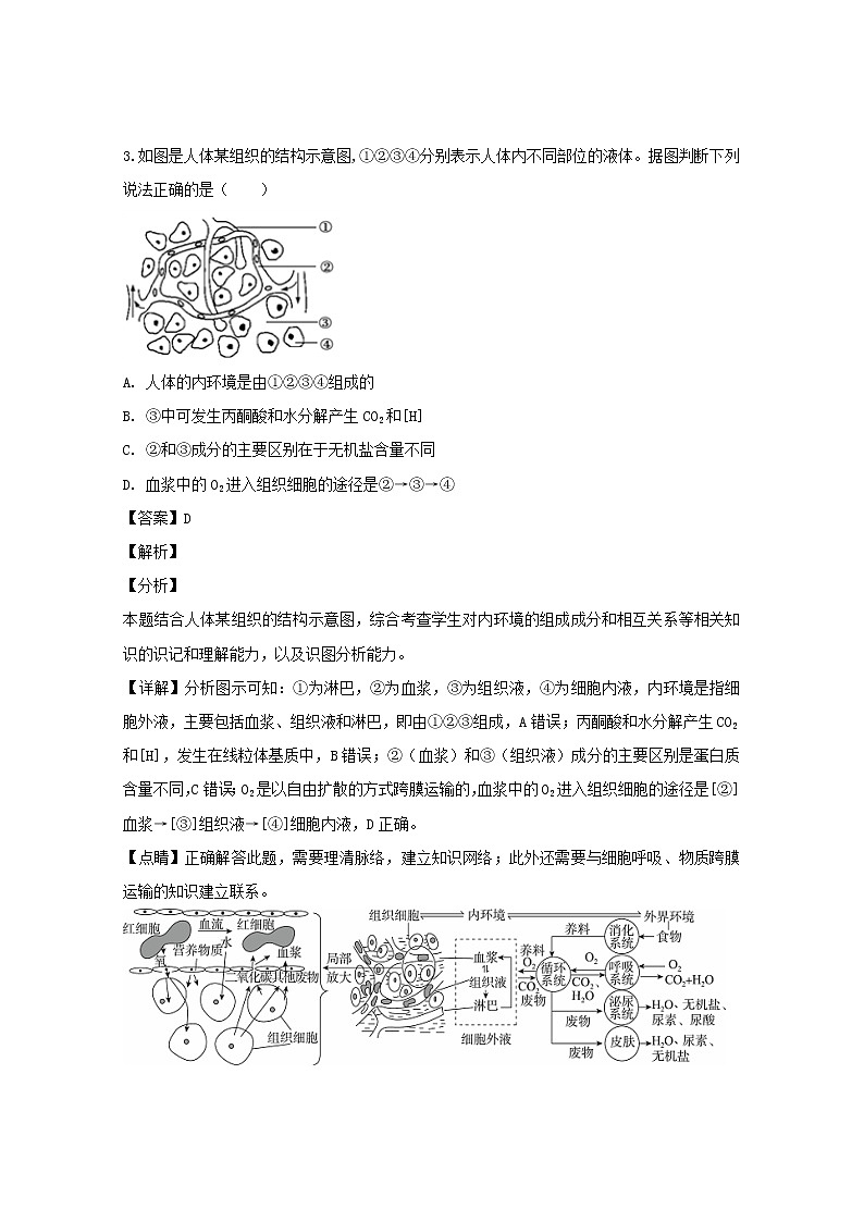 江西省宜春市奉新县一中2020届高三上学期第二次月考生物试题第3页