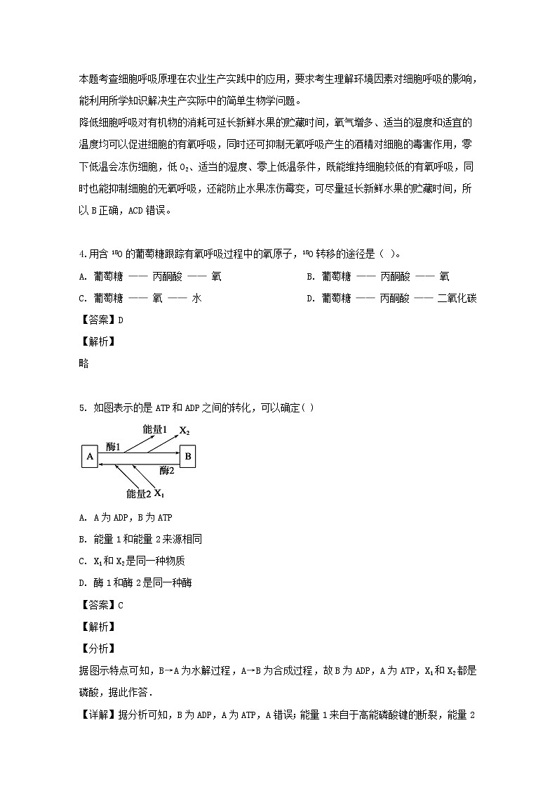 辽宁省葫芦岛市八中2020届高三（10月）月考生物试题02