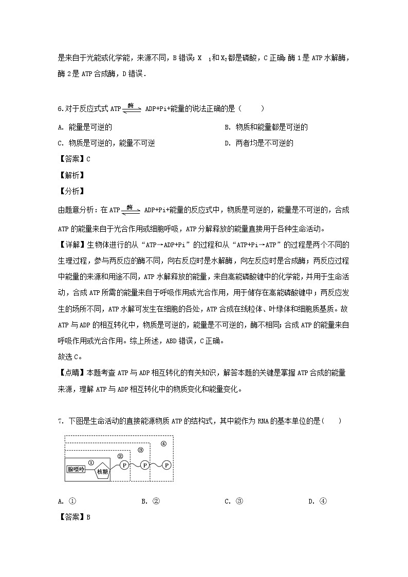 辽宁省葫芦岛市八中2020届高三（10月）月考生物试题03