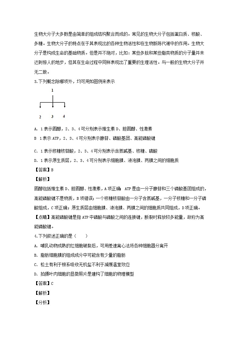 辽宁省沈阳市铁路实验中学2020届高三（11月）月考生物试题02