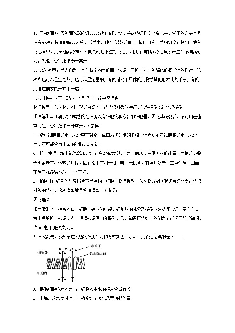 辽宁省沈阳市铁路实验中学2020届高三（11月）月考生物试题03