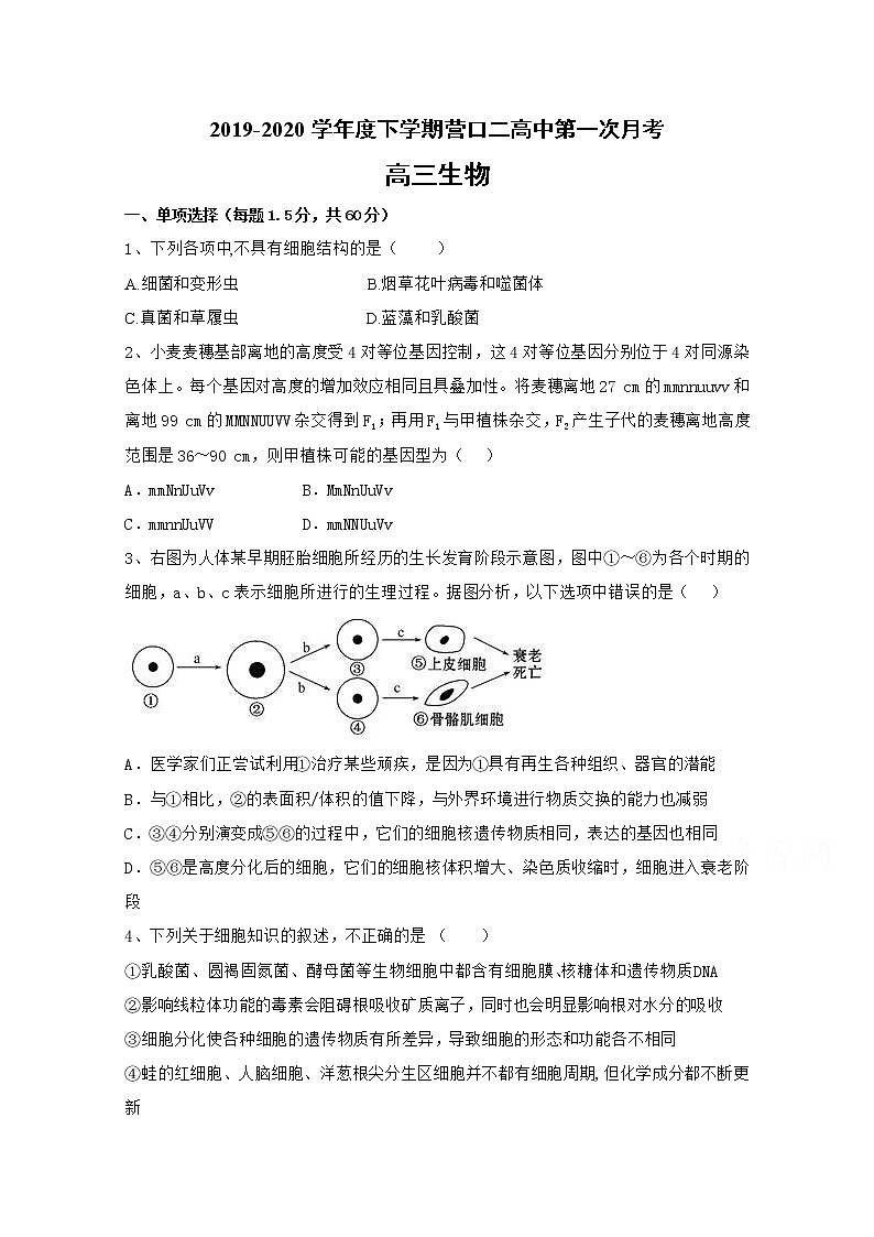 辽宁省营口市第二高级中学2020届高三上学期第一次月考生物试题01