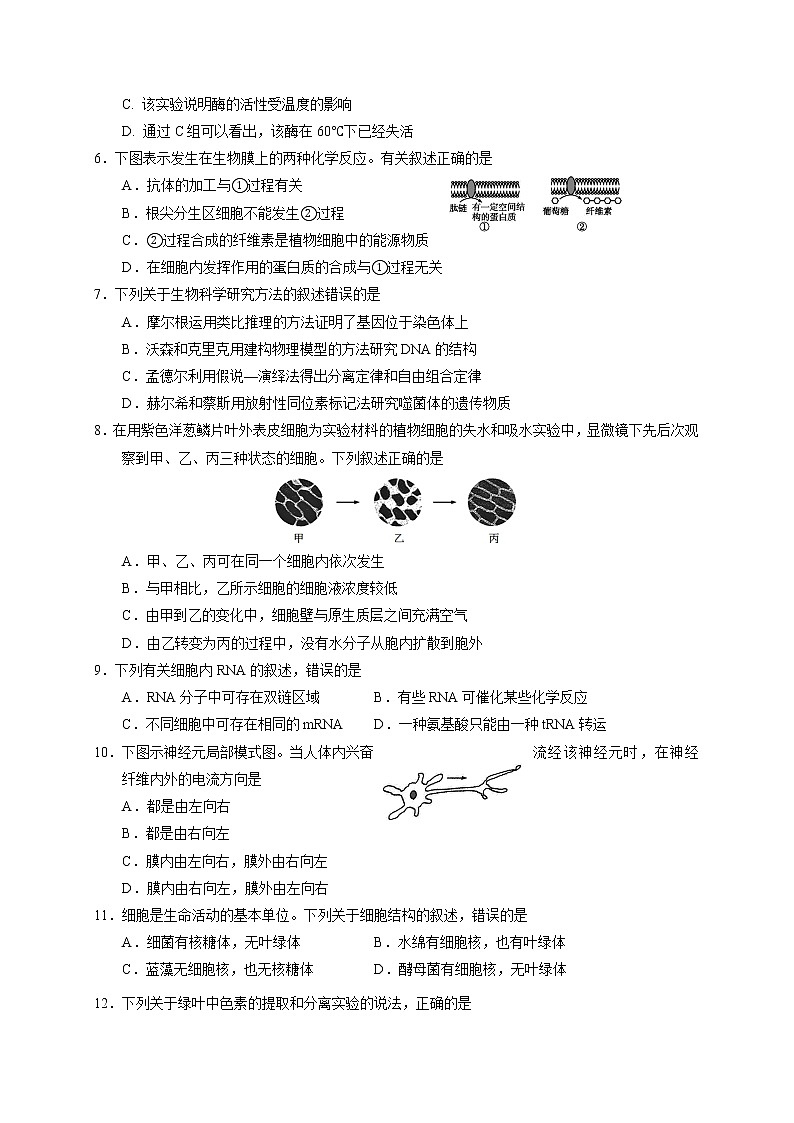 辽宁铁岭市清河第二中学2020届高三12月月考生物试题第2页