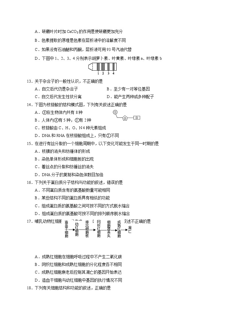 辽宁铁岭市清河第二中学2020届高三12月月考生物试题第3页