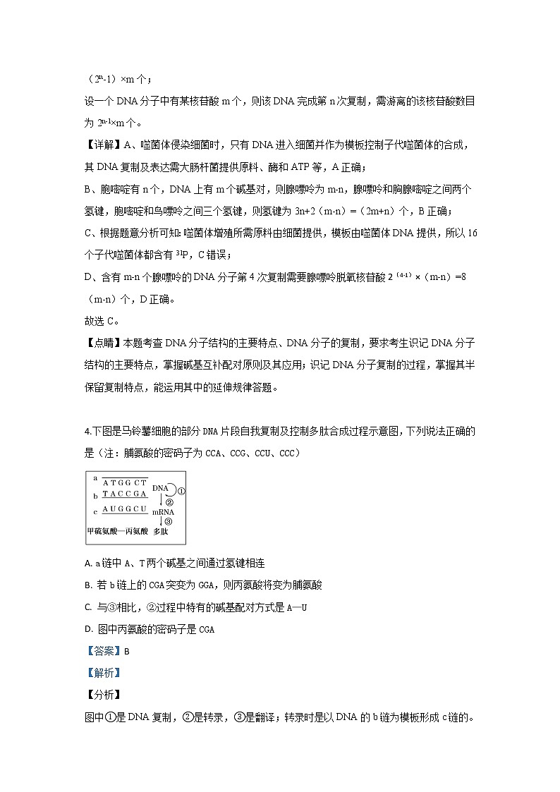 内蒙古集宁一中2020届高三上学期第一次月考生物试题03