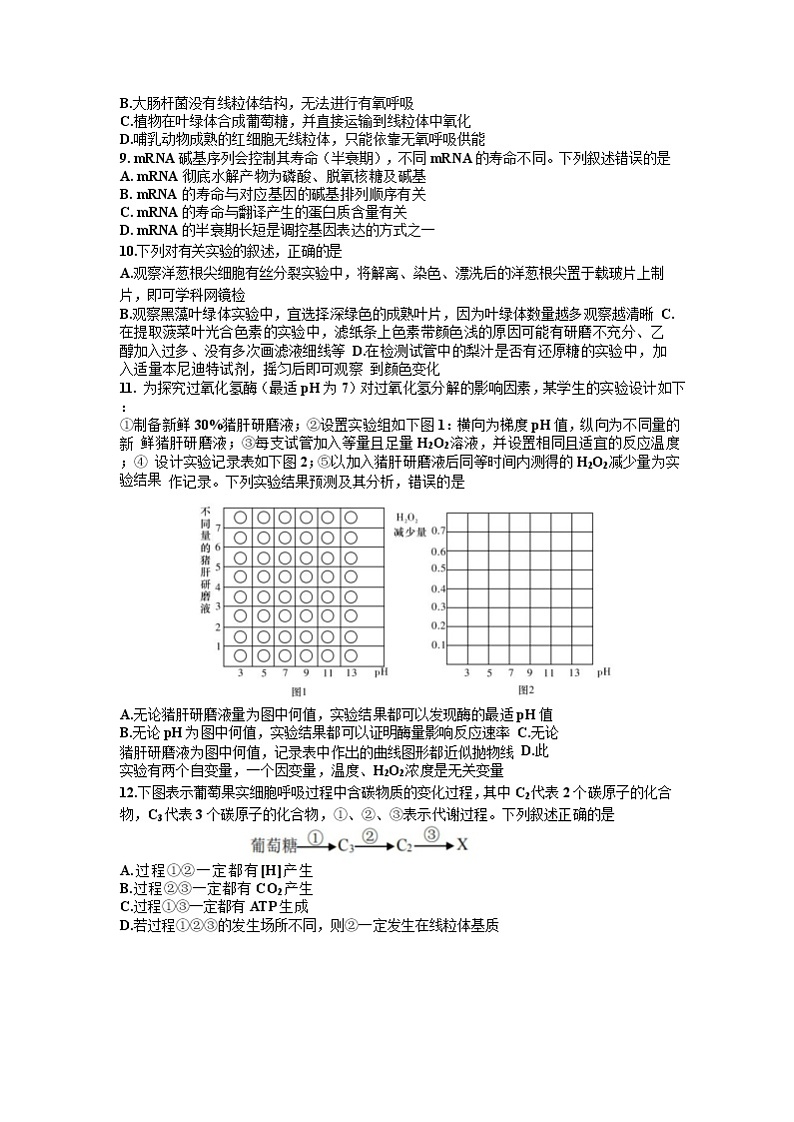 浙江省宁波市镇海中学2020届高三6月考前模拟生物试题02