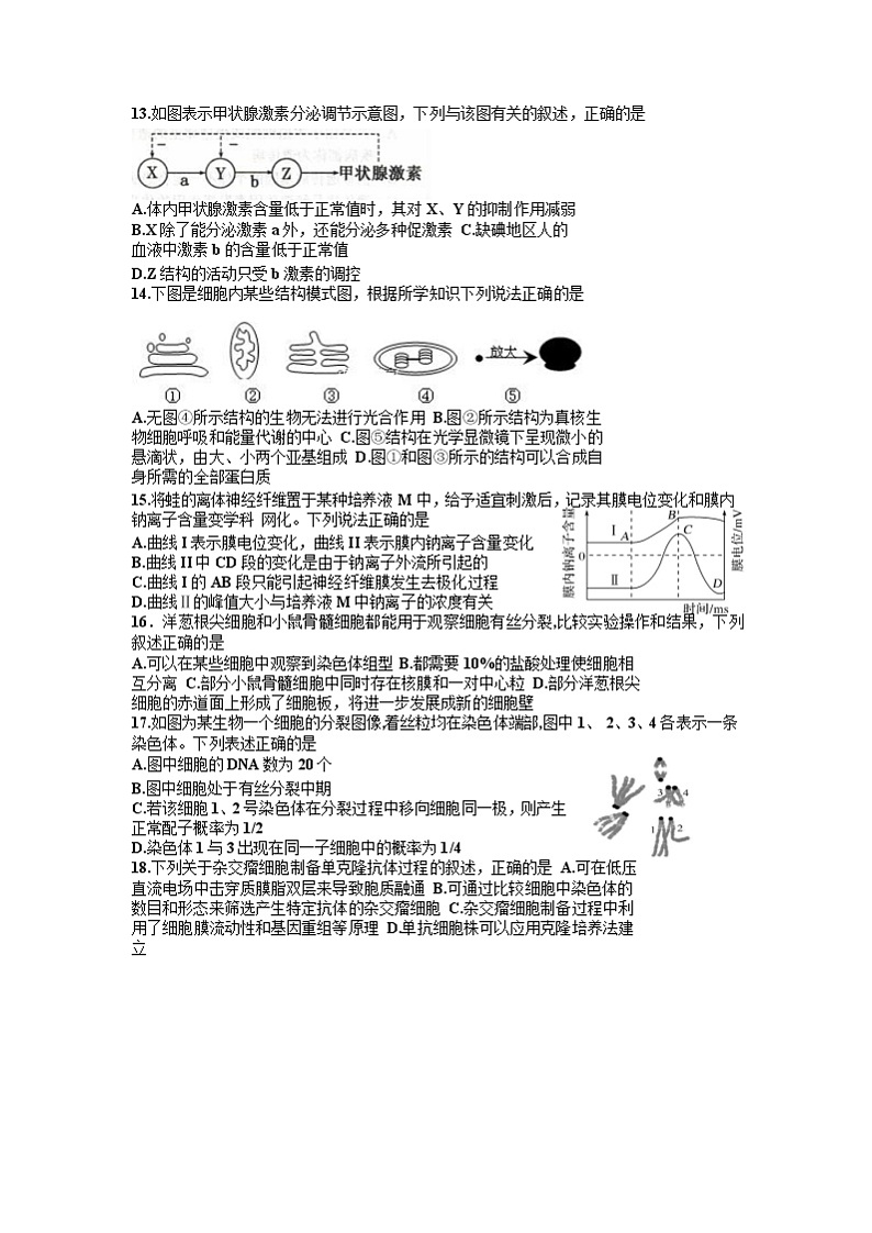 浙江省宁波市镇海中学2020届高三6月考前模拟生物试题03