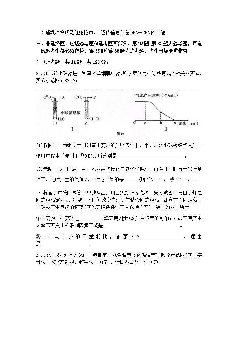 重庆市巴蜀中学2020届高三高考适应性月考卷（八）理科综合生物试题03