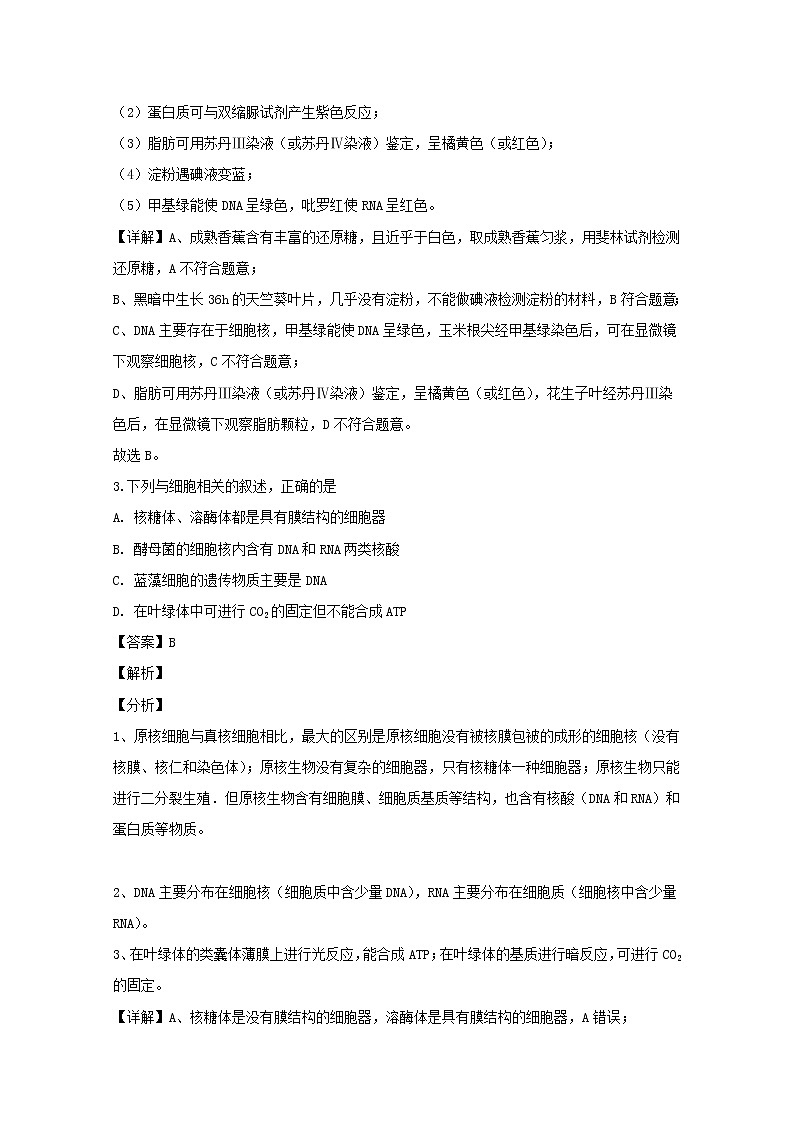 广东省北大附中深圳南山分校2020届高三上学期期中考试生物试题02