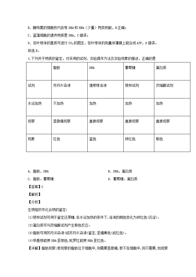 广东省北大附中深圳南山分校2020届高三上学期期中考试生物试题03