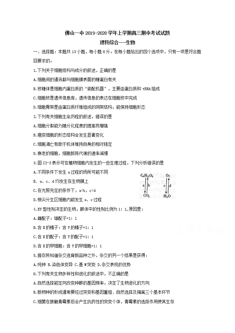 广东省佛山市第一中学2020届高三上学期期中考试  理综生物01