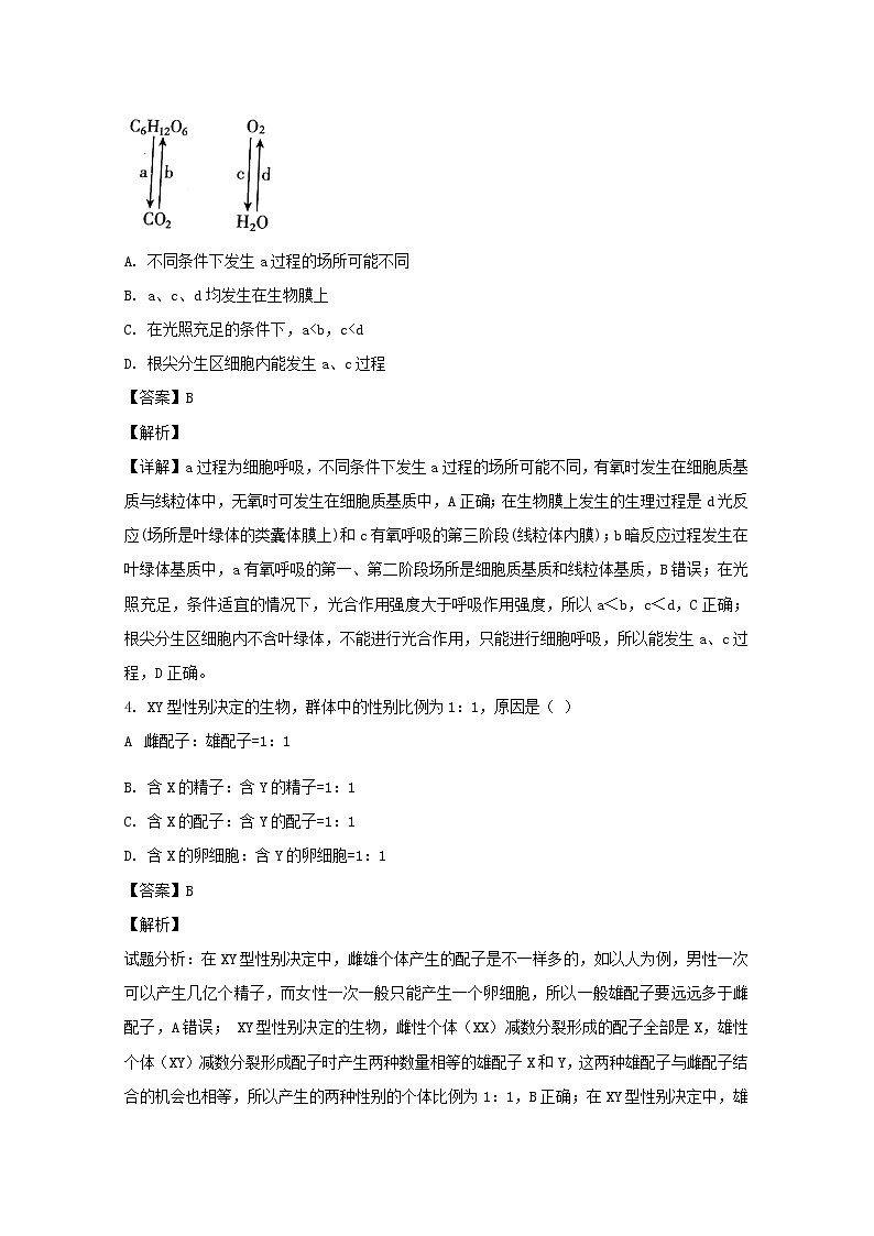 广东省佛山市一中2020届高三上学期期中考试生物试题02