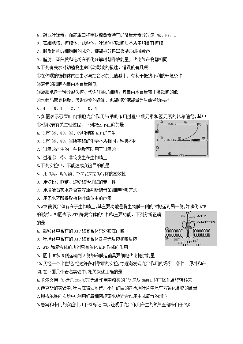 广西省桂林市龙胜中学2020届高三上学期期中考试生物试卷02