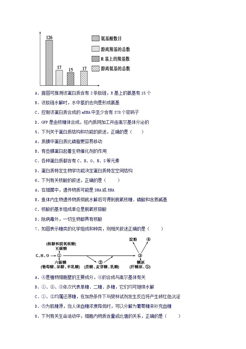 河北省隆化县存瑞中学2020届高三上学期期中考试生物试题02