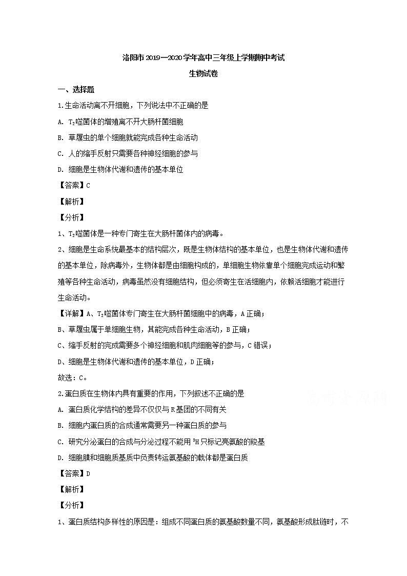 河南省洛阳市2020届高三上学期期中考试生物试题01