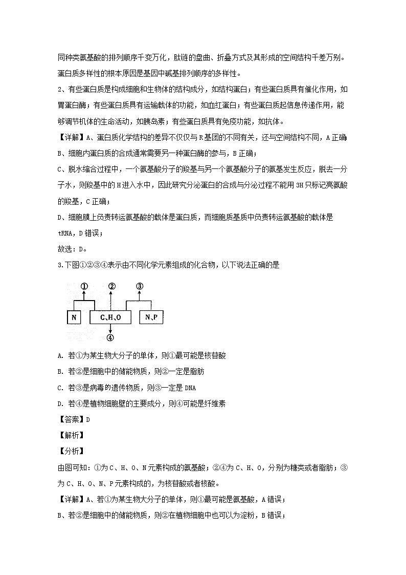 河南省洛阳市2020届高三上学期期中考试生物试题02