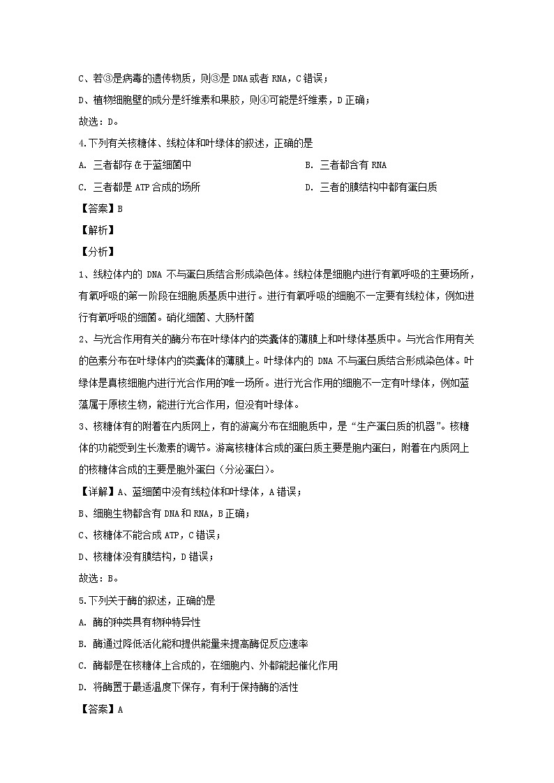 河南省洛阳市2020届高三上学期期中考试生物试题03