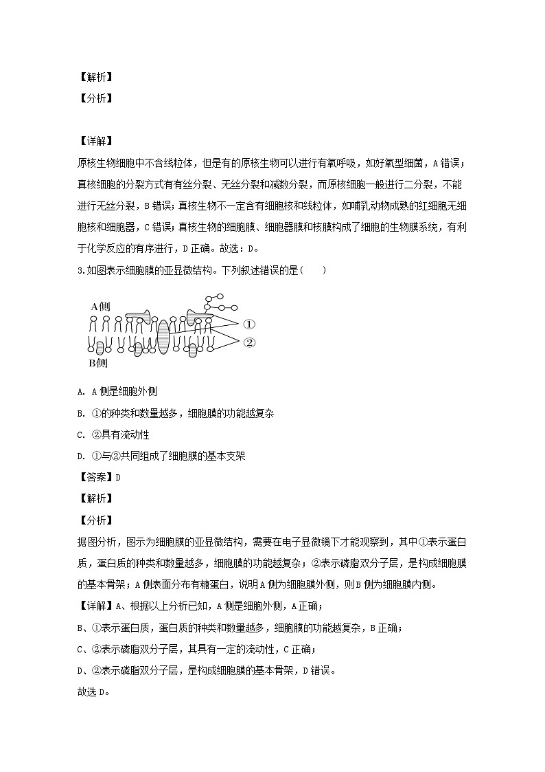 河南省商丘市2020届高三上学期期中考试生物试题02