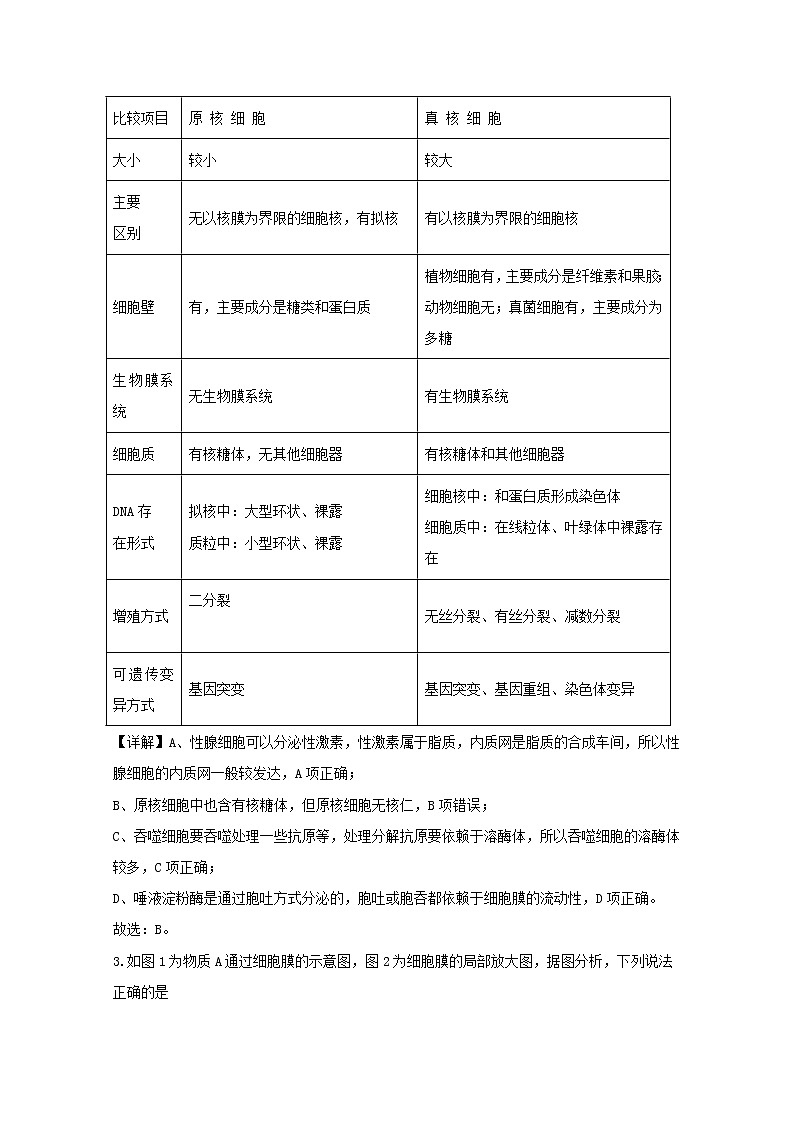 河南省实验中学2020届高三上学期期中考试生物试题02