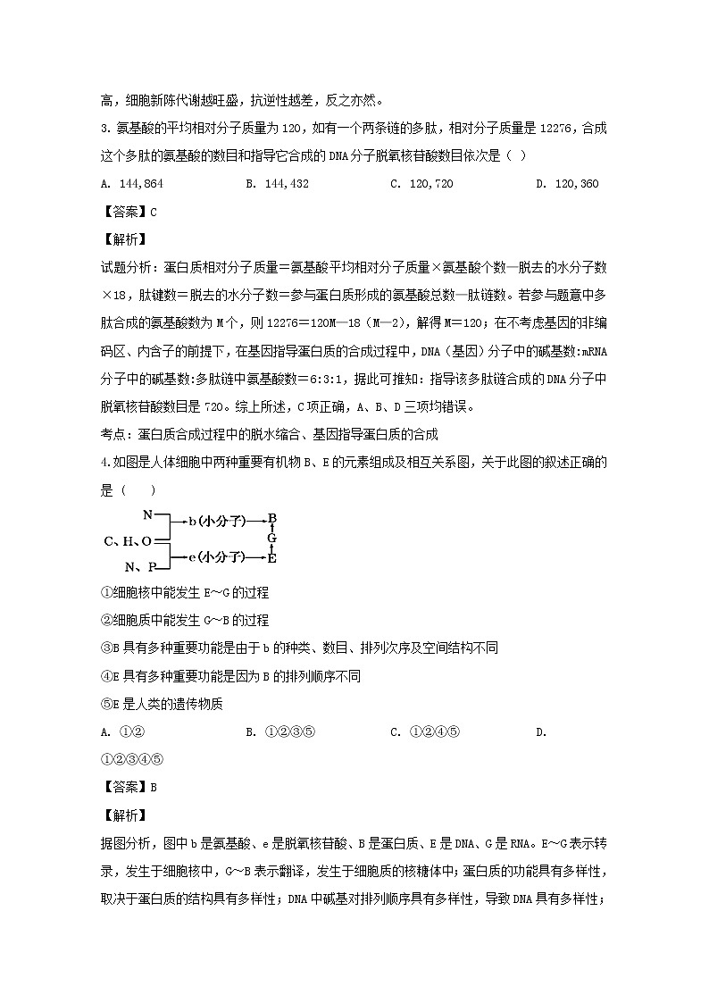 河南省周口市中英文学校2020届高三上学期期中考试生物试题02