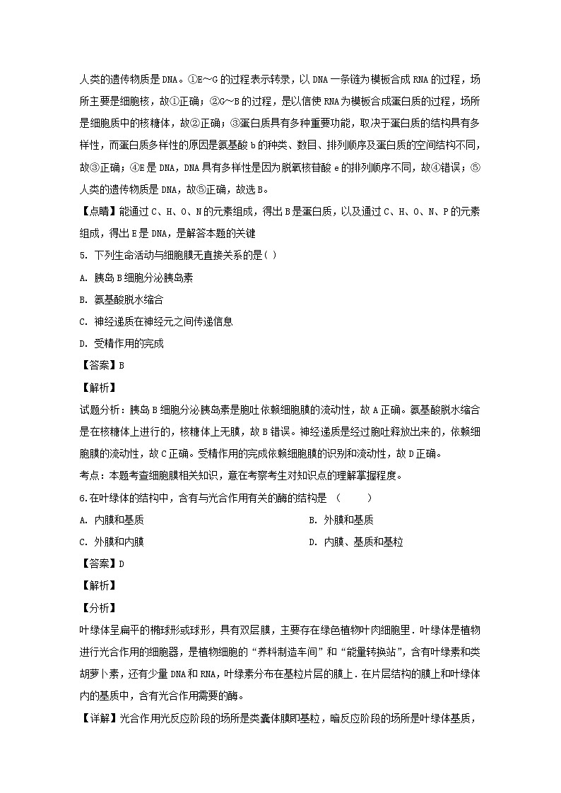 河南省周口市中英文学校2020届高三上学期期中考试生物试题03