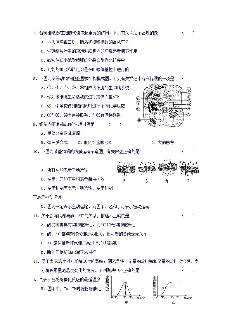 河南省周口中英文学校2020届高三上学期期中考试生物试题02