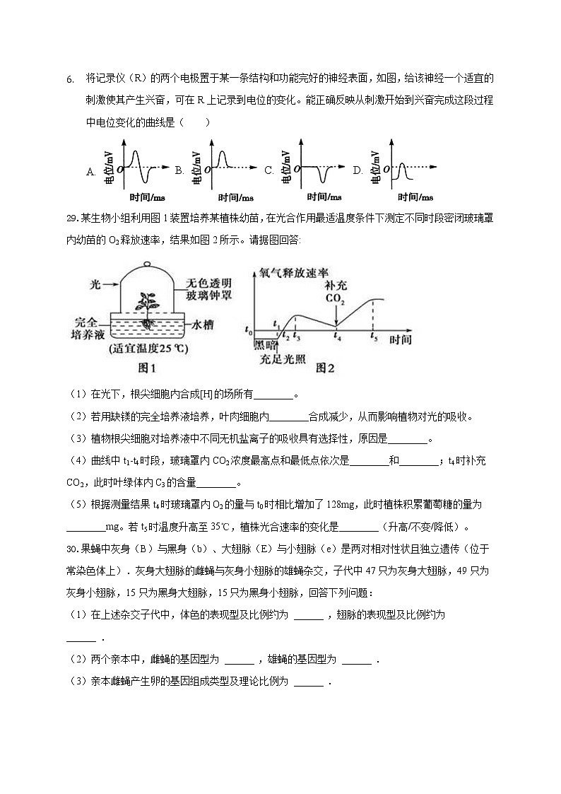 黑龙江省大庆中学2020届高三上学期期中考试生物试题02
