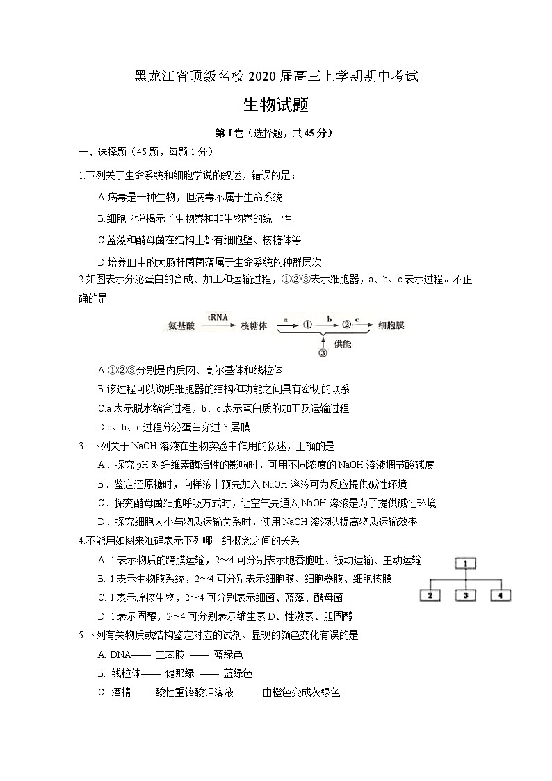 黑龙江省顶级名校2020届高三上学期期中考试生物试题01