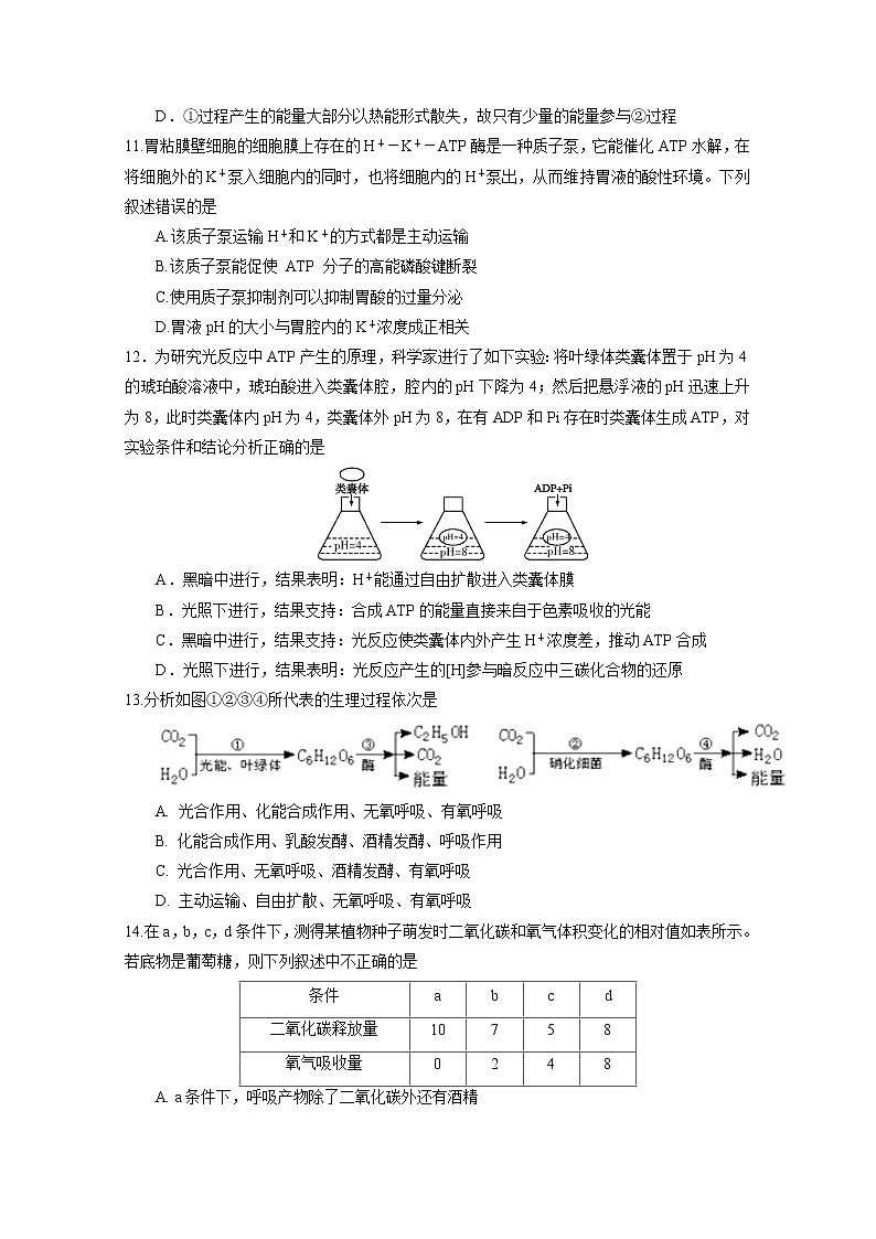 黑龙江省顶级名校2020届高三上学期期中考试生物试题03