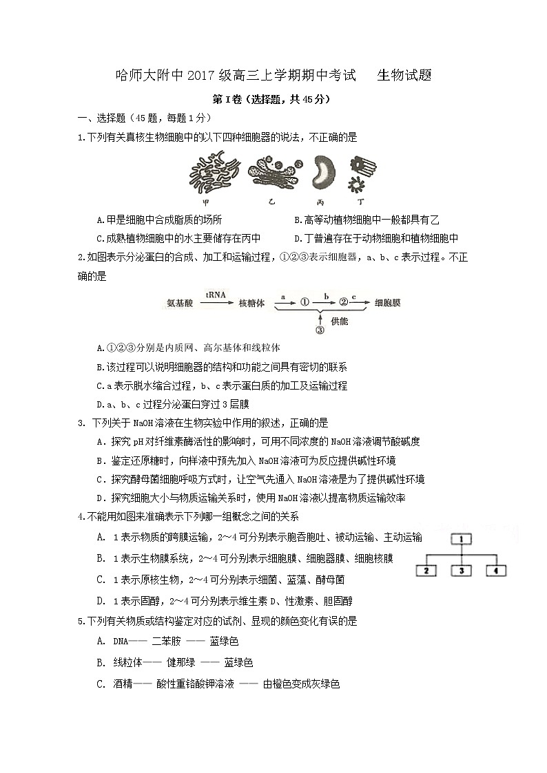 黑龙江省哈尔滨师范大学附属中学2020届高三上学期期中考试生物试题01