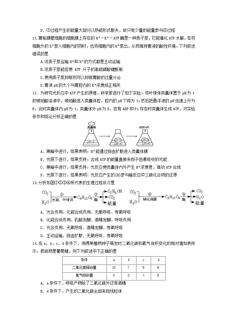 黑龙江省哈尔滨师范大学附属中学2020届高三上学期期中考试生物试题03
