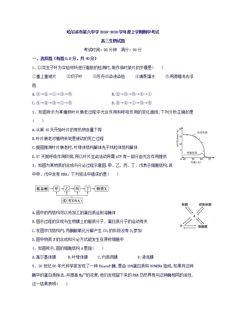 黑龙江省哈尔滨市第六中学2020届高三上学期期中考试生物试题01