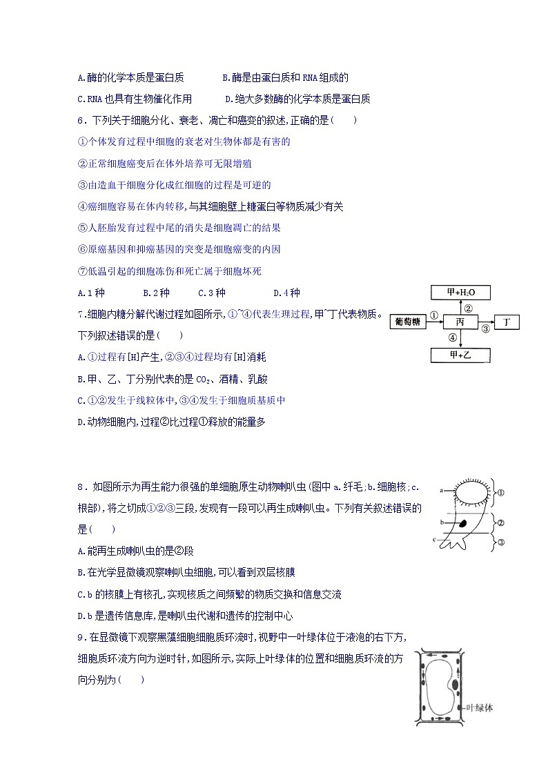 黑龙江省哈尔滨市第六中学2020届高三上学期期中考试生物试题02