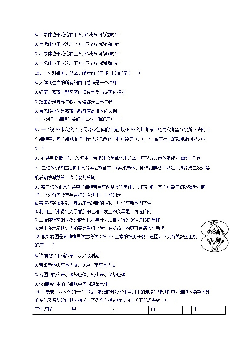 黑龙江省哈尔滨市第六中学2020届高三上学期期中考试生物试题03