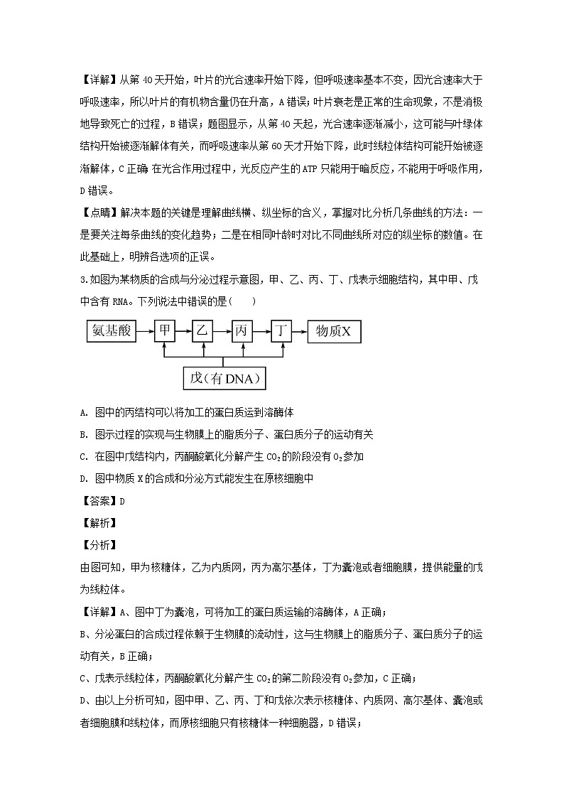 黑龙江省哈尔滨市六中2020届高三上学期期中考试生物试题02