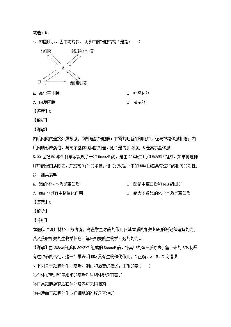黑龙江省哈尔滨市六中2020届高三上学期期中考试生物试题03