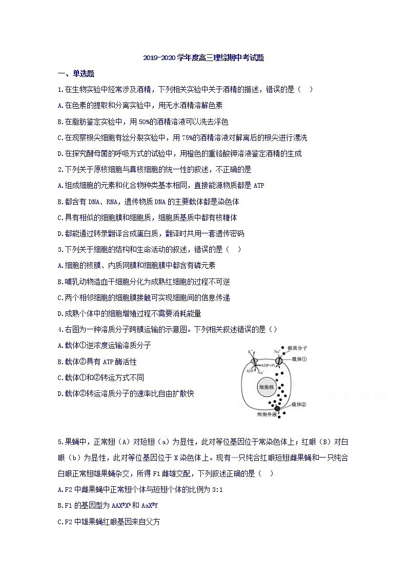 黑龙江省伊春市第二中学2020届高三上学期期中考试生物试题01