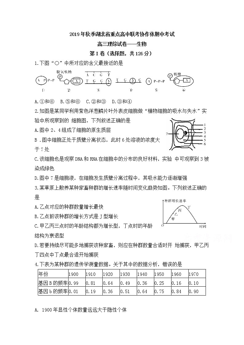 湖北省普通高中联考协作体2020届高三上学期期中考试  理综生物01