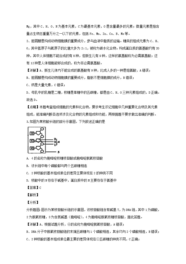 湖北省襄州四校2020届高三上学期期中考试生物试题02