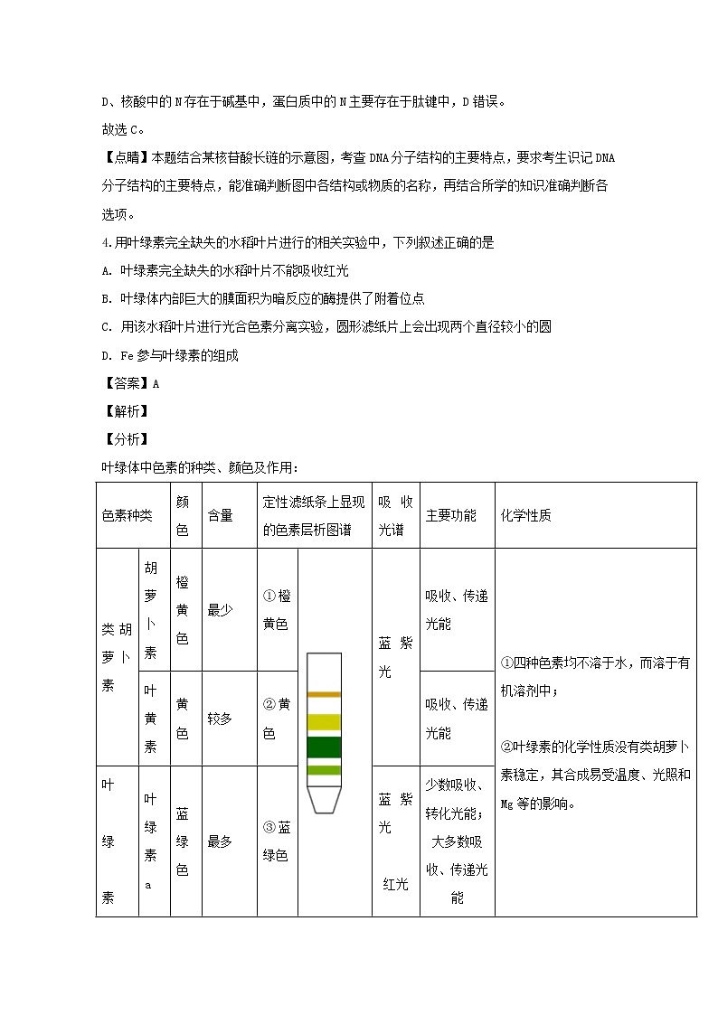 湖北省襄州四校2020届高三上学期期中考试生物试题03
